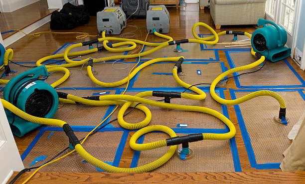 Professional Basement Flood Cleanup technician working in Eagle Lake, FL
